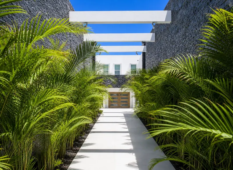 Palm pergola entrance walk at Villa Lands End